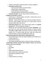 Konspekts 'Vadības socioloģija', 5.