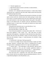 Referāts 'Pārdevēja - kasiera darba ergonomisks raksturojums', 3.