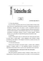 Referāts 'Pārdevēja - kasiera darba ergonomisks raksturojums', 5.