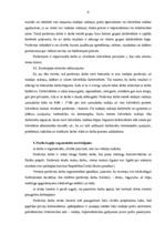 Referāts 'Pārdevēja - kasiera darba ergonomisks raksturojums', 6.