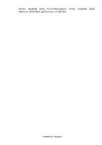 Referāts 'Latvijas Kriminālprocesa tiesību eiropeizācijas vispārējs raksturojums', 13.