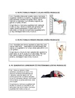 Konspekts 'Postizometriskās relaksācijas metode', 3.