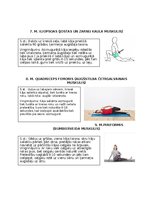 Konspekts 'Postizometriskās relaksācijas metode', 4.