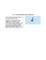 Konspekts 'Postizometriskās relaksācijas metode', 7.