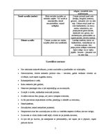 Referāts 'Lietišķa cilvēka ģērbšanās stils', 5.