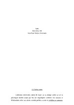 Referāts 'Raksturīgākās iezīmes renesanses mākslinieka Mikelandželo Buonarroti daiļradē', 10.