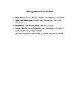 Referāts 'Mērķu sasniegšana', 7.