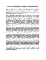 Eseja 'Daugavpils - tūristiem atvērta pilsēta', 1.