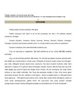 Referāts 'Historisms un tā spilgtākais paraugs Latvijā - Cesvaines pils', 9.