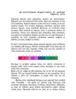 Referāts 'pH indikatori dabā', 4.