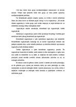 Eseja 'Silva Omārova "Cilvēks dzīvo grupā"', 4.