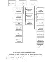 Referāts 'Skolas un ģimenes sadarbība', 8.