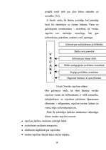 Referāts 'Skolas un ģimenes sadarbība', 19.