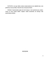 Referāts 'Proporcionālo un mažoritāro vēlēšanu sistēmu salīdzinājums', 13.