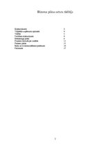 Biznesa plāns 'Autoserviss', 2.