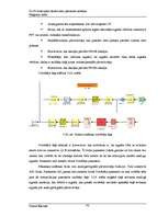 Diplomdarbs 'Uz Fī funkcijām bāzēta datu pārraides sistēma', 42.