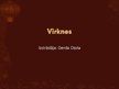 Prezentācija 'Virknes', 1.