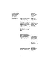 Konspekts 'Izvērsts rotaļnodarbības konspekts sociālajās zinībās pirmsskolā', 7.