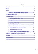 Referāts 'Jēkabpils baznīcas', 4.