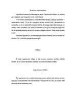 Paraugs 'Patenta pieteikums', 2.