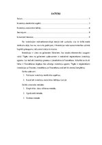 Referāts 'Ekonomika un finanses - investīcijas, nefinanšu investīcijas', 1.