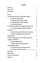 Diplomdarbs 'Valsts Darba inspekcijas darbības analīze. Zemgales reģiona piemērs', 2.