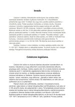 Referāts 'Celulozes ražošana', 1.