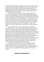 Referāts 'Celulozes ražošana', 2.