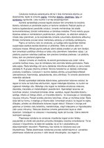 Referāts 'Celulozes ražošana', 3.