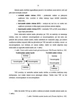 Referāts 'Sadales loģistika', 10.