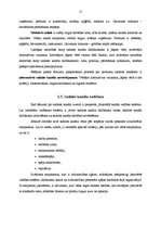 Referāts 'Sadales loģistika', 15.