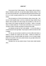 Eseja 'Filma "Baltais lācis"', 1.