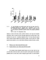 Referāts 'Stresa ietekmes pētījumi uz žurku uzvedību Open Field (atvērtā lauka) testā', 30.