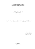 Referāts 'Šūnu automātu teorijas izmantošana transporta plūsmu modelēšanā', 1.