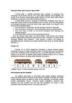 Referāts 'Šūnu automātu teorijas izmantošana transporta plūsmu modelēšanā', 3.