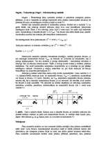 Referāts 'Šūnu automātu teorijas izmantošana transporta plūsmu modelēšanā', 4.