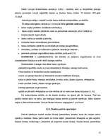 Referāts 'Bankas funkcijas, loma un veidi', 12.