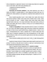 Referāts 'Bankas funkcijas, loma un veidi', 13.