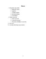 Referāts 'Silikāti. Silikātu rūpniecība', 2.