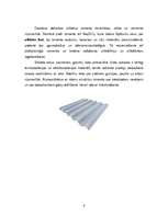 Referāts 'Silikāti. Silikātu rūpniecība', 6.