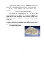 Referāts 'Silikāti. Silikātu rūpniecība', 11.