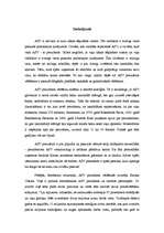 Referāts 'ASV prezidenta vēlēšanas', 11.