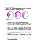 Referāts 'Asiņošana dzemdībās', 11.