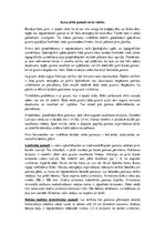 Konspekts 'Koka pirts pamati un to izbūve', 1.