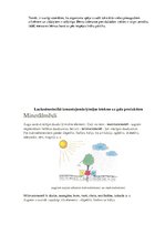 Referāts 'Veselīgas pārtikas ražošana un lietošana', 28.