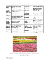 Referāts 'Veselīgas pārtikas ražošana un lietošana', 30.