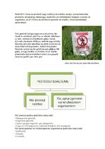 Referāts 'Veselīgas pārtikas ražošana un lietošana', 31.