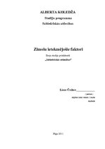 Eseja 'Zīmolu ietekmējošie faktori', 1.