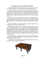 Eseja 'Maizes krāsns uzbūve un tās mūrēšanas pamatprincipi', 1.