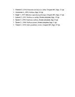 Referāts 'Vadītāja iezīmes un vadības stili', 8.